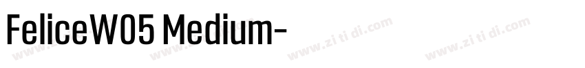 FeliceW05 Medium字体转换